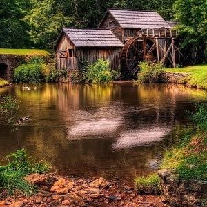 Meet your Posher, Janice